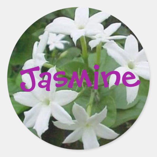 Jasmine Ronde Sticker (Voorkant)