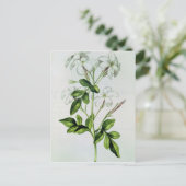 Jasmine, uit La Guirlande de Julie Briefkaart (Staand voorkant)