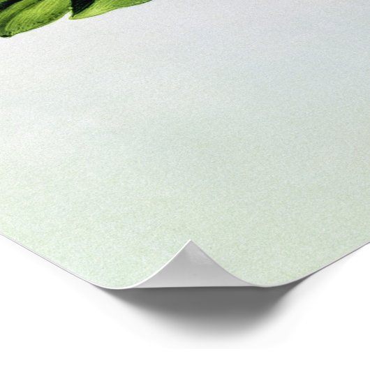 Jasmine, uit La Guirlande de Julie Poster (Hoek)