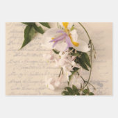 Jasmine voor oud handschrift inpakpapier vel (Voorkant 2)