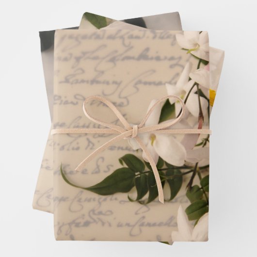 Jasmine voor oud handschrift inpakpapier vel (In situ)
