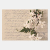 Jasmine voor oud handschrift inpakpapier vel (Voorkant)