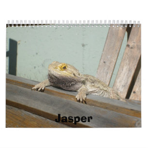Jasper 2009-kalender kalender