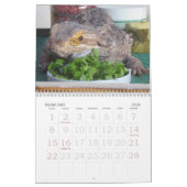 Jasper 2009-kalender kalender (Feb 2026)