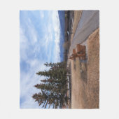 Jasper Alberta Uitzicht van treinen en bergen Fleece Deken (Voorkant)