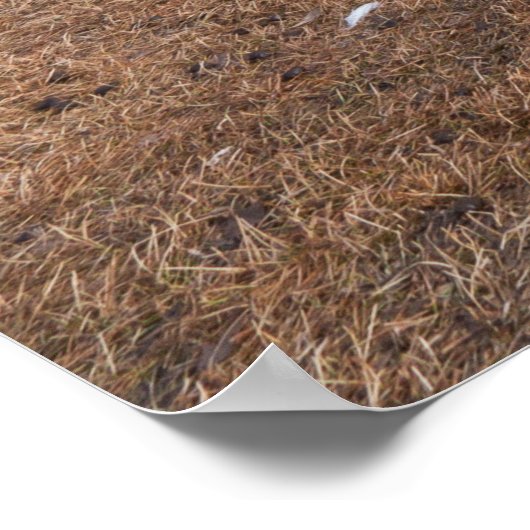 Jasper Alberta Uitzicht van treinen en Snowy met m Poster (Hoek)