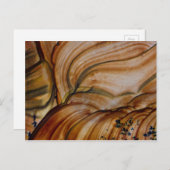 Jasper Briefkaart (Voorkant / Achterkant)