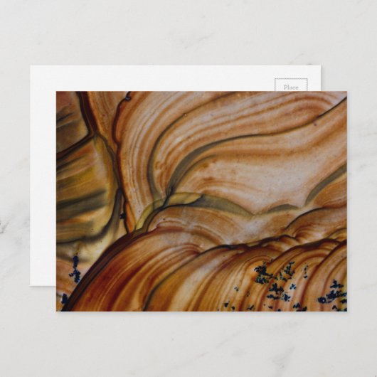 Jasper Briefkaart (Voorkant / Achterkant)