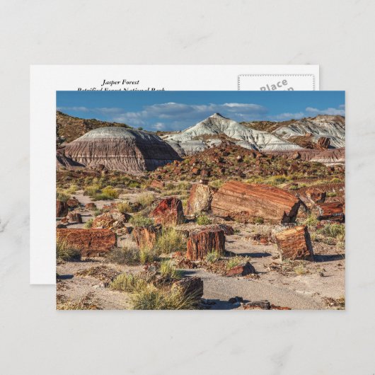 Jasper Forest Briefkaart (Voorkant / Achterkant)