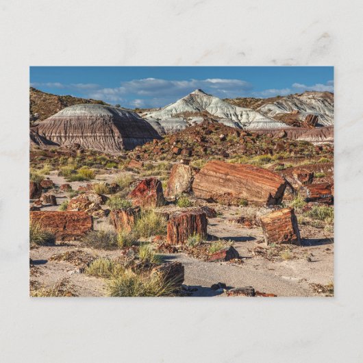 Jasper Forest Briefkaart (Voorkant)