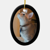 Jasper Kitten Foto gemaakt met 2-zijdig ovaal vers Keramisch Ornament (Voorkant)