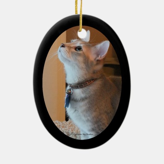 Jasper Kitten Foto gemaakt met 2-zijdig ovaal vers Keramisch Ornament (Achterkant)