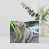 Jasper krijgt het briefkaart (Staand voorkant)