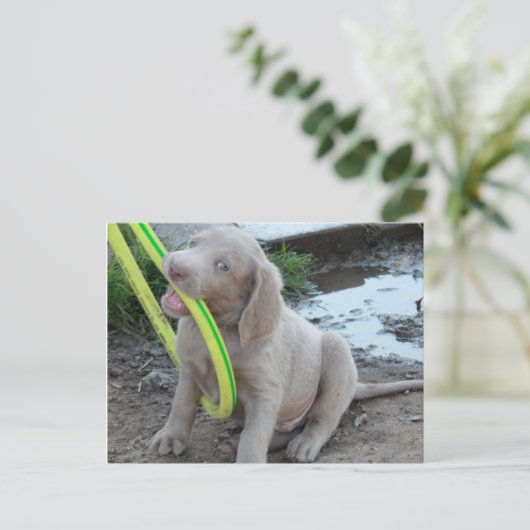 Jasper krijgt het briefkaart (Staand voorkant)