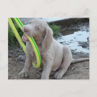 Jasper krijgt het briefkaart