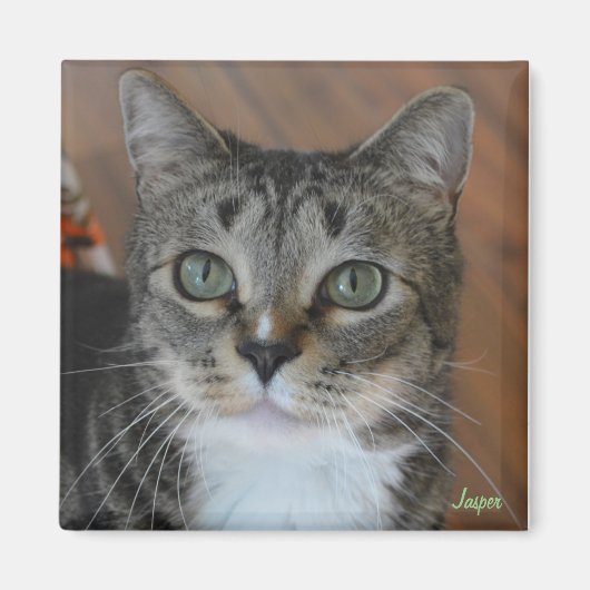 Jasper Magneet (Voorkant)