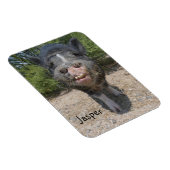 Jasper Magnet Magneet (Rechterzijde)