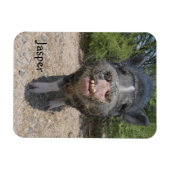 Jasper Magnet Magneet (Horizontaal)