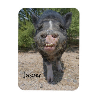 Jasper Magnet Magneet