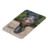 Jasper Magnet Magneet (Linkerzijde)