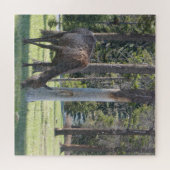 Jasper National Park, Alberta Canada Puzzle Legpuzzel (Horizontaal)