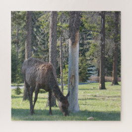 Jasper National Park, Alberta Canada Puzzle Legpuzzel