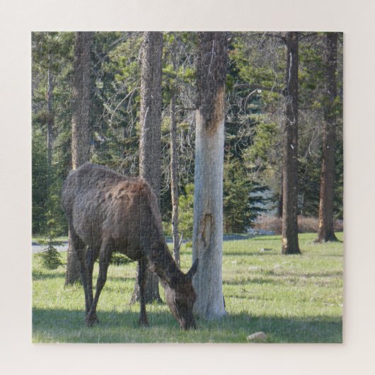 Jasper National Park, Alberta Canada Puzzle Legpuzzel (Verticaal)