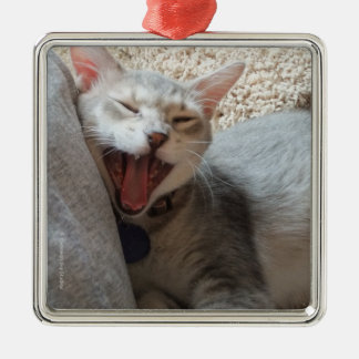 Jasper Yawning Kitten Photo Square Metal Ornament