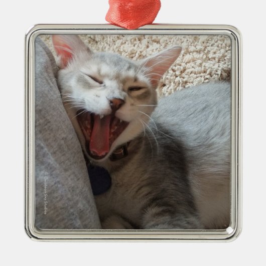 Jasper Yawning Kitten Photo Square Metal Ornament (Voorkant)