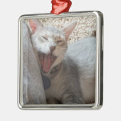 Jasper Yawning Kitten Photo Square Metal Ornament (Links)