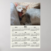 Jasper Yawning Kitten Poster 2011 kalender (Voorkant)