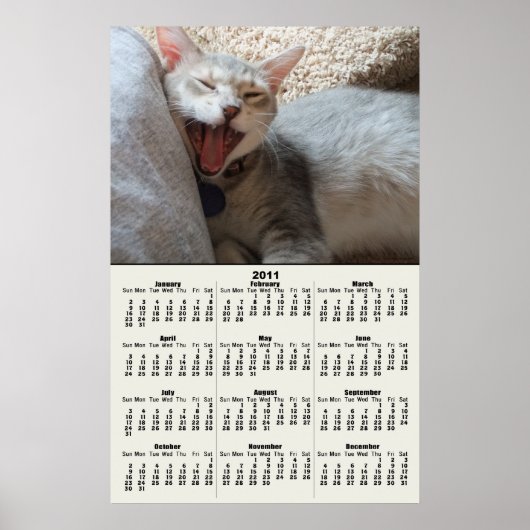 Jasper Yawning Kitten Poster 2011 kalender (Voorkant)