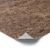 Jasper's Schilderachtig Spoorweg en Sneeuwpieken Poster (Hoek)