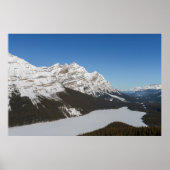 Jasper's Snowy Peyto Lake Poster (Voorkant)