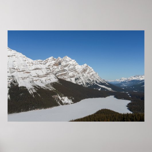 Jasper's Snowy Peyto Lake Poster (Voorkant)