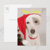 Jaspis de Hond van Kerstmis Feestdagenkaart (Voorkant / Achterkant)
