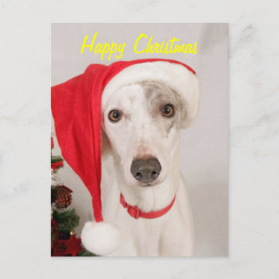 Jaspis de Hond van Kerstmis Feestdagenkaart