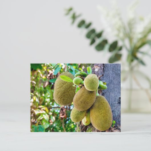 jasvruchten briefkaart (Staand voorkant)