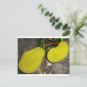 jasvruchten briefkaart (Staand voorkant)