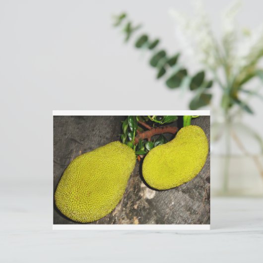 jasvruchten briefkaart (Staand voorkant)