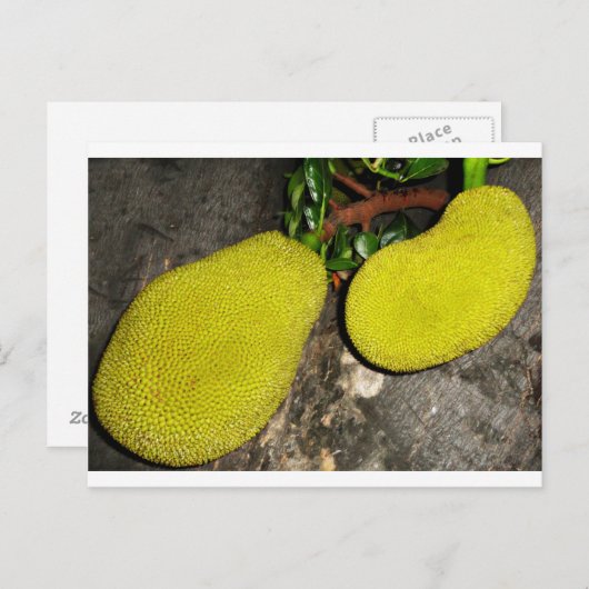 jasvruchten briefkaart (Voorkant / Achterkant)