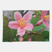 Jatropha-bloem- en bloemknoppen theedoek (Horizontaal)