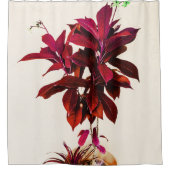 Jatropha-Plant in het diepe rood Douchegordijn (Voorkant)