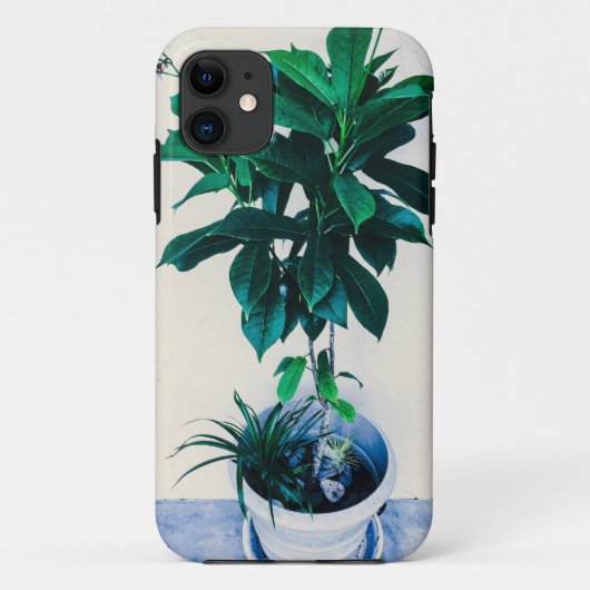 Jatropha-Plant in natuurlijk groen Case-Mate iPhone Case (Achterkant)