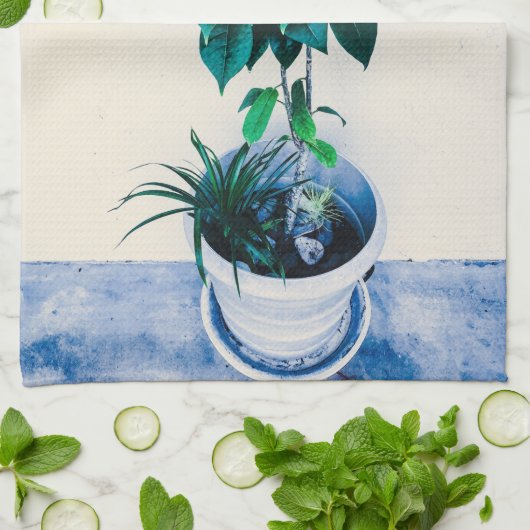 Jatropha-Plant in natuurlijk groen Theedoek (Gevouwen)