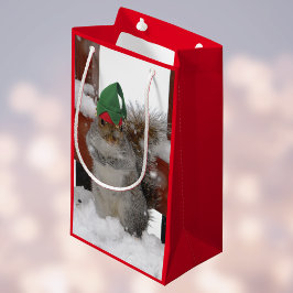 Jaunty Eekhoorn met Elf Pet Holiday Bag Klein Cadeauzakje