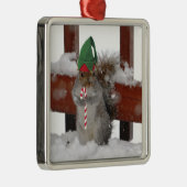 Jaunty Squirrel met Candy Cane Holiday Ornament (Rechts)