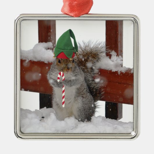 Jaunty Squirrel met Candy Cane Holiday Ornament (Voorkant)