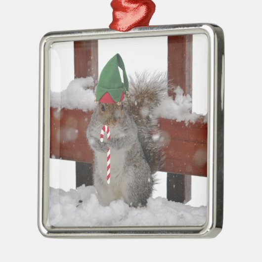 Jaunty Squirrel met Candy Cane Holiday Ornament (Links)