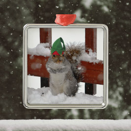 Jaunty Squirrel met Elf Pet kerstversiering Metalen Ornament